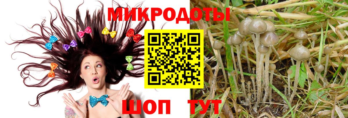Галлюциногенные грибы GOLDEN TEACHER Благовещенск